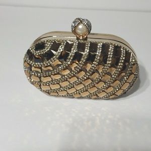 Clutch/Wristlet